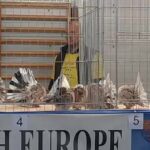 312103520_5780973748636003_8825874914203288446_n