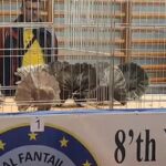 312364013_5333437873427762_2886300624948025488_n_1