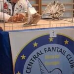 312615054_6117017528328130_5308605504797074010_n