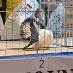 315452657_5473607702707598_3771745944761025402_n