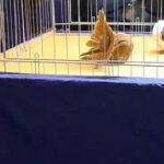 315474094_5935238116521197_4933046662881074984_n