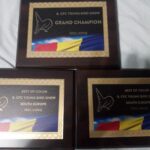 315530872_690938059041790_7565414065454344644_n