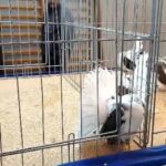 315980420_6072766462735939_8029676842198136789_n