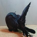 316039297_688480062597530_4475768921429658361_n