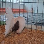 316158155_685407586427812_5292172232454316193_n