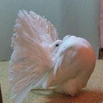 316301512_614955640424924_4809712479187688923_n