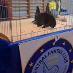 316346334_5585207428261476_8884004128829686649_n