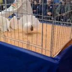 316439884_5633835770028656_8190107533411381021_n