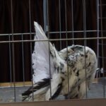 328450920_3269808086662796_4945889347006389901_n