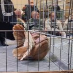 328459318_572139124573992_6412764414760870813_n