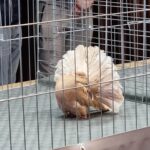 329051149_2337939789709502_4916738381789843793_n