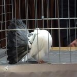 329075468_911583570284431_6493757929326687306_n