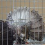 329152404_731299715231444_6680749269150250180_n