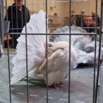 329216005_581942660124562_8477007653877742113_n