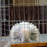 329325765_2876001059210813_6812673508651834400_n