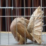 329352281_586603619986217_2169470338071237103_n