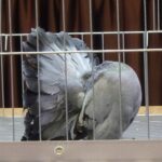 329365398_1349102589207494_8577873362110876891_n