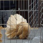 329390051_858800851847073_6593838004610671580_n