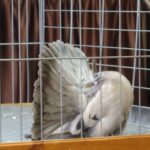 329401805_2377214589120795_5781908913281847185_n