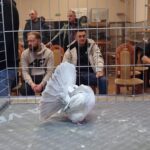 329403021_5940533019376069_5580816526178601706_n