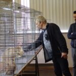 329409898_601793921960096_9127518870666051066_n