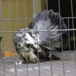 329454168_1799701003741470_477079315503841114_n