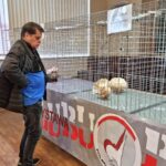 329456659_1845799259118045_7218986106700653462_n