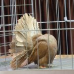 329508980_1211371942818004_7905693277144162089_n